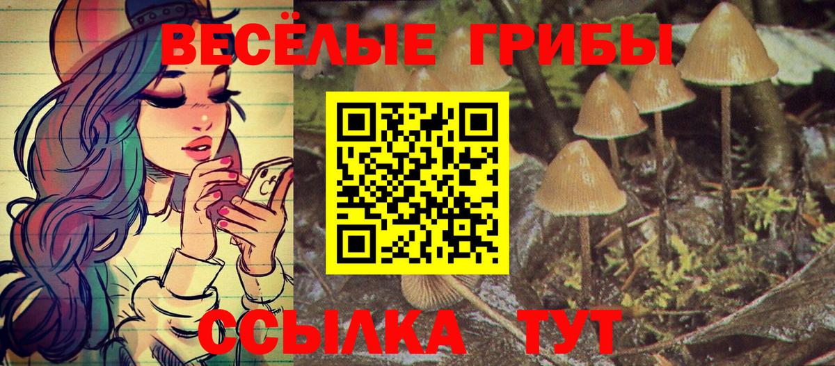 Псилоцибиновые грибы GOLDEN TEACHER  Вход с VPN  Йошкар-Ола 