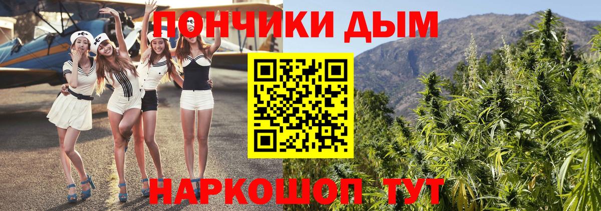 Марихуана OG Kush  Вход с VPN  Марихуана план  Йошкар-Ола  Каннабис семена  Конопля Bruce Banner 